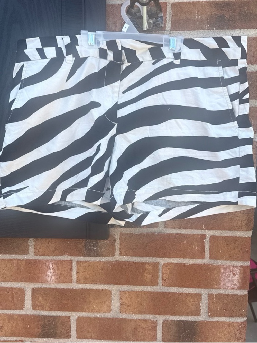 LOFT Black and White Zebra-Print Flat Front Shorts
